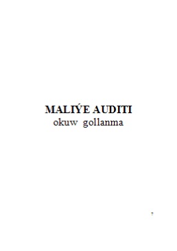 Maliýe auditi